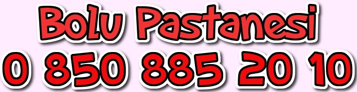 Bolu yaş pasta çeşitleri doğum günü yaş pasta siparişi yolla gönder